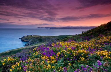 WEST IRELAND, 8 days