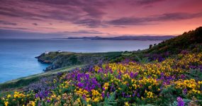 OESTE DE IRLANDA AL COMPLETO, 8 días